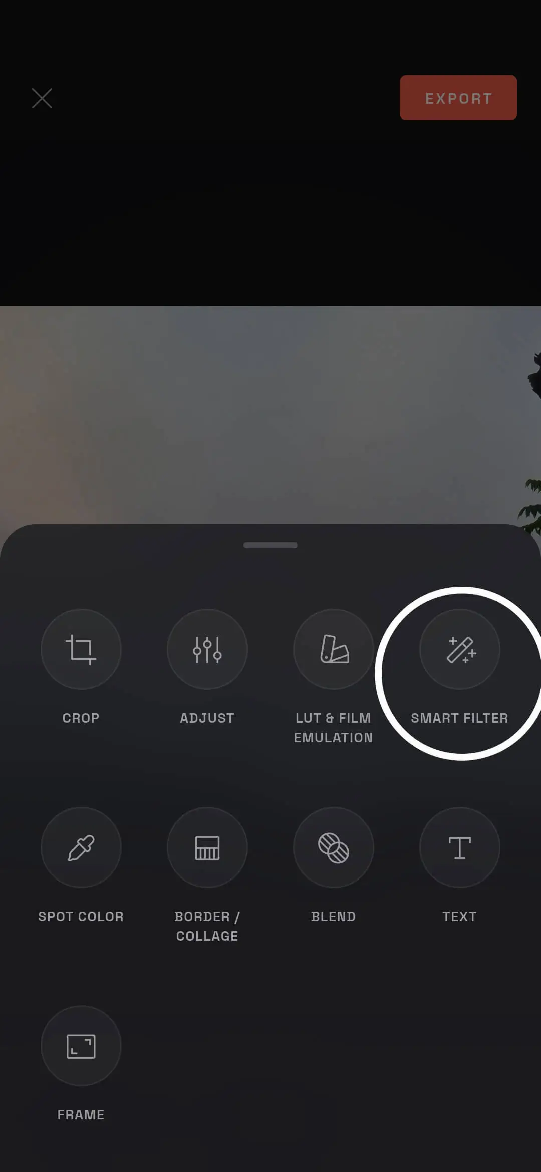 Select the Smart Filter tool in Modipix's editor menu