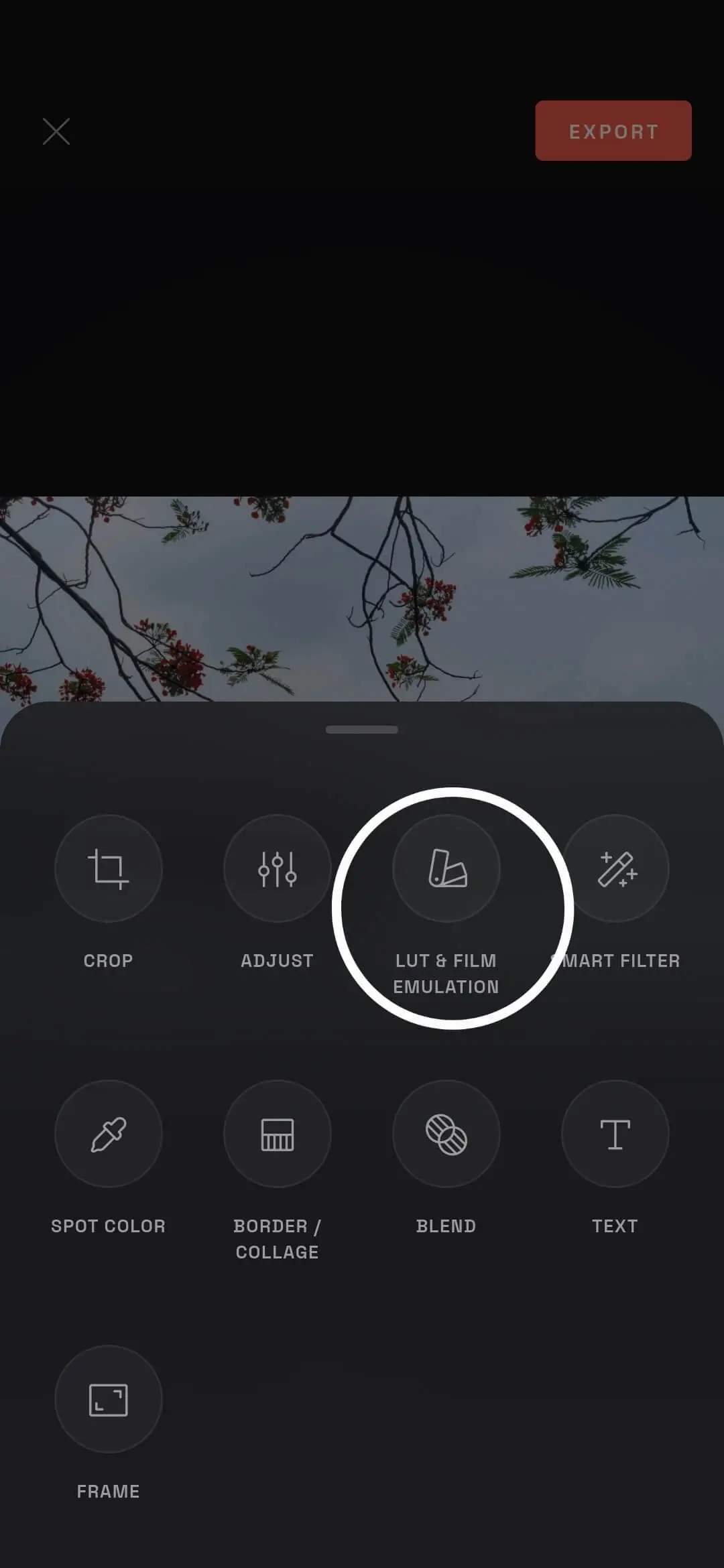 Select the LUT and Film Emulation tool in Modipix photo editor