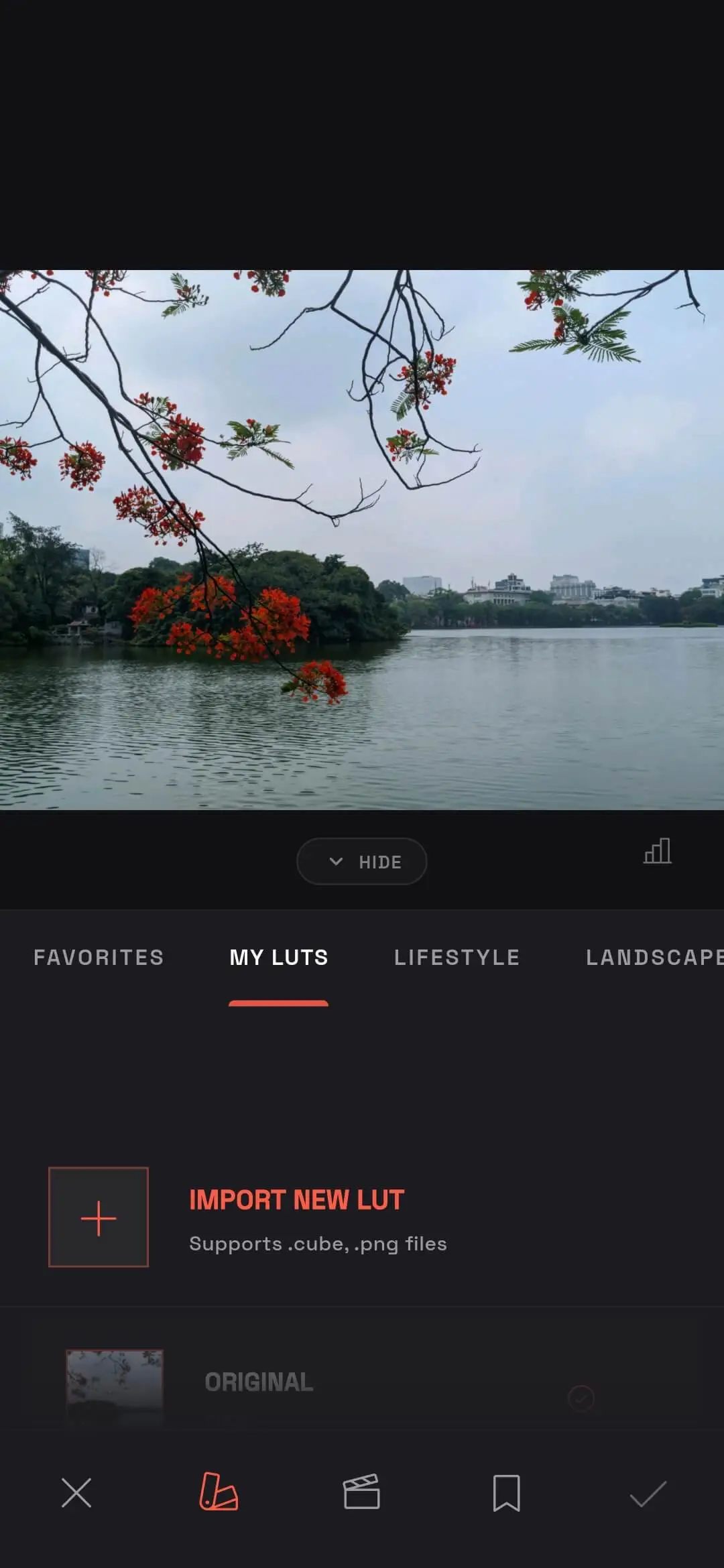 Filter list interface and the Import New LUT button on Modipix